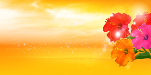 ハイビスカス　海　風景　背景 © J BOY