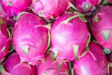 Sweet Red dragon fruit as background