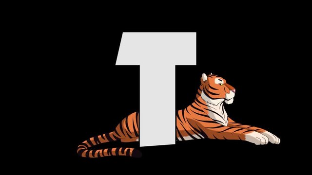 Letter T and  Tiger (background)
Animated animal alphabet. HD footage with alpha channel. Animal in a background of letter.