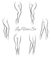 Woman legs vector. Female legs hand drawn sketch. Sexy legs for packaging and labels