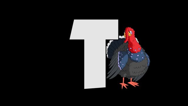 Letter T and  Turkey (background)
Animated animal alphabet. HD footage with alpha channel. Animal in a background of letter.