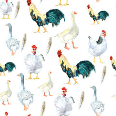 the pattern of chickens and goose w. The watercolor drawing. Can be used for postcards, prints and design
