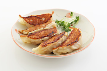 おいしそうな焼き餃子