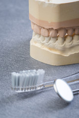 Fototapeta na wymiar Teeth mold with dental tools and brush