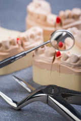 Teeth mold with dental forceps