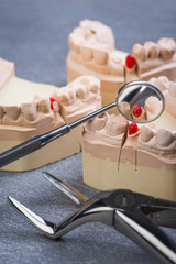 Teeth mold with dental forceps