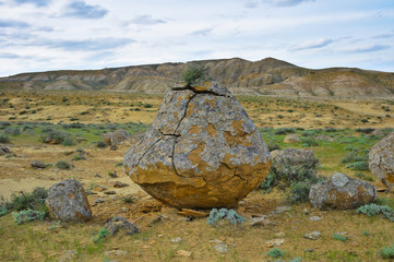 Concretions (geological formation). Mangyshlak Peninsula, Kazakhstan. - 108931728