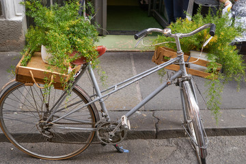 Fototapeta na wymiar old bike with plants