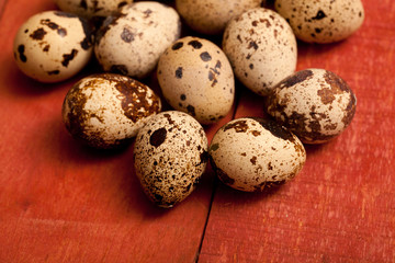 Obraz premium quail eggs