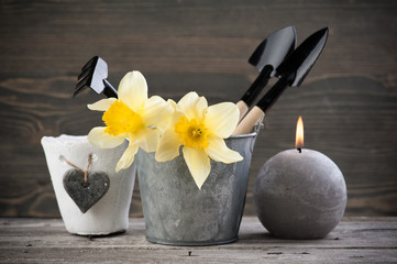 Gardening tools, pots, flowers