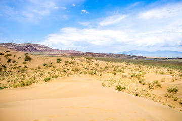 sand dune with bushes on a background of mountains