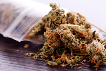 Close up Dried Marijuana Leaves on the Table