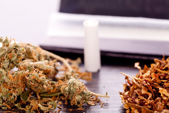 Dried Cannabis on Rolling Paper with Filter