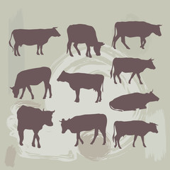 cow set silhouette on grunge background. vector