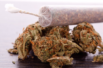 Close up of dried marijuana leaves and joint