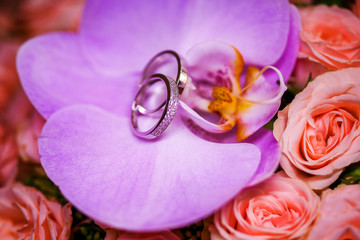 Obraz na płótnie Canvas Beautiful wedding rings with diamonds on the purple Orchid.