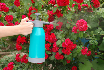 Male hand holding spray bottle