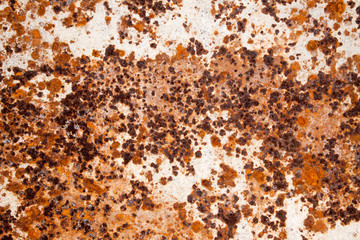 Designed grunge paper texture