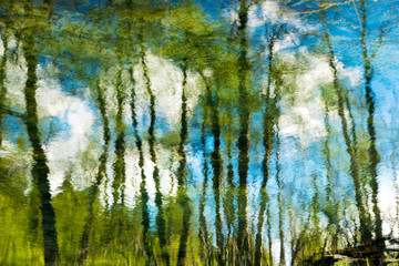 Trees and blue sky with clouds reflection on river