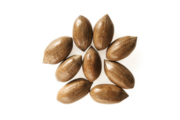A pile of pecan nuts