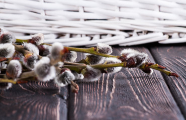 Easter willow twigs