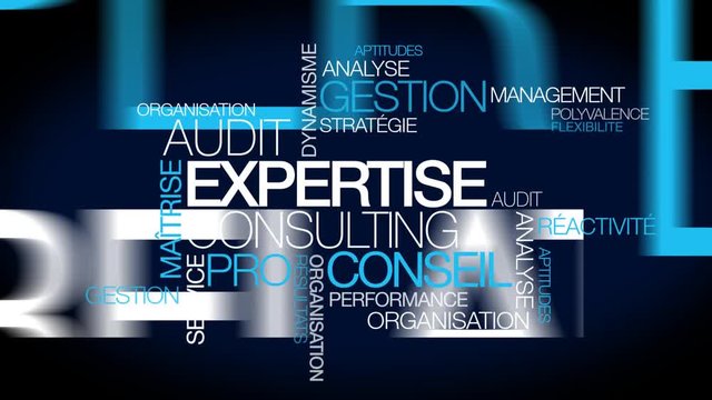 Expertise audit conseil consultant tag cloud nuage de mots consulting texte animation