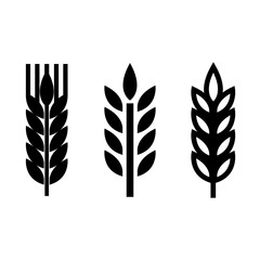 Vector black wheat ear spica icons set on white background