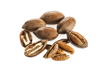 Pecan nuts isolated on white