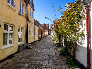Fototapeta na wymiar Homes on cobbled streets in Ribe, Denmark