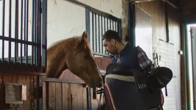 Man is stroking a horse in stable while holding a saddle. Shot on RED Cinema Camera.