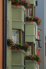 Fototapeta na wymiar windows in South Tyrol Italy