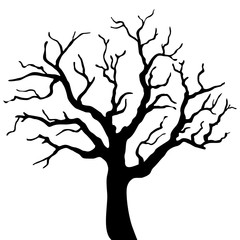 Tree black silhouette isolated on white background - 108942717