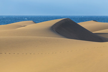 Fototapeta na wymiar Maspalomas Dunes-Gran Canaria,Canary Islands,Spain
