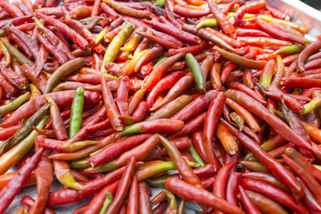 Red Chillies style nature 
