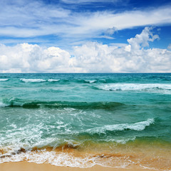 beautiful waves in the sea