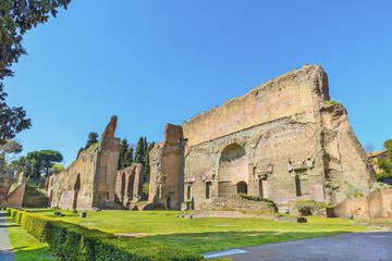 Fototapeta na wymiar Picturesque panoramic view on ruins the ancient roman Baths of Caracalla ( Thermae Antoninianae ) at sunny day. Built between AD 212 and 217. Beautiful architectural landscape. Rome. Italy. Europe.