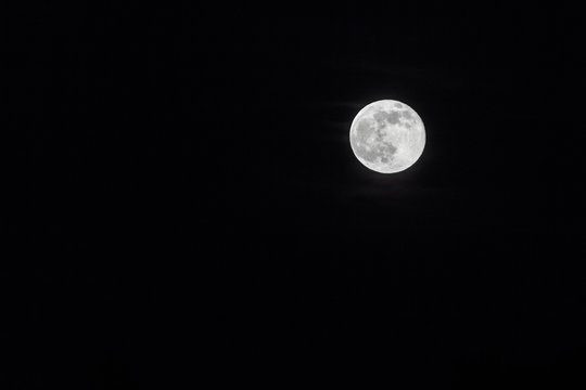 moon isolated - full moon on black background