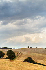 Paesaggio di montagna al tramonto