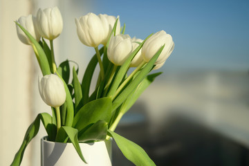   White tulips background 

