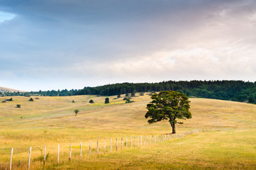 Paesaggio di montagna al tramonto