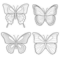 Fototapeta na wymiar Set of vector butterflies. Isolated objects on white.