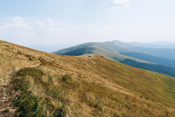 Fototapeta premium autumn mountains, hills