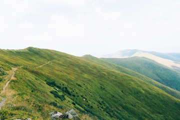 Fototapeta premium Road in Green mountains, hills, travel, landscape
