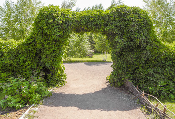 Arch of the bushes