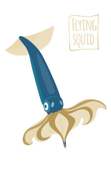Flying Squid, vector cartoon illustration.