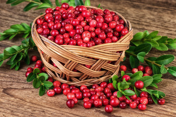 Fototapeta na wymiar basket of cranberries
