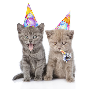 Two funny kittens with birthday hats. isolated on white backgrou Stock  Photo | Adobe Stock