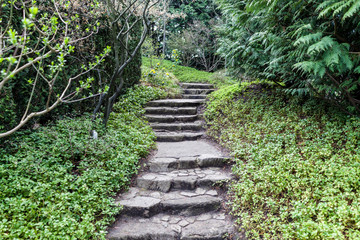 Japanese rock garden in a public park