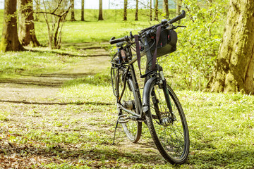 Naklejka premium Bicycle stands in the park