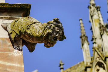 Fototapeta premium Gargoyle on a gothic cathedral, detail of a tower on blue sky ba